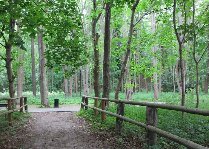 Bc 1957 Апартаменти Сопот